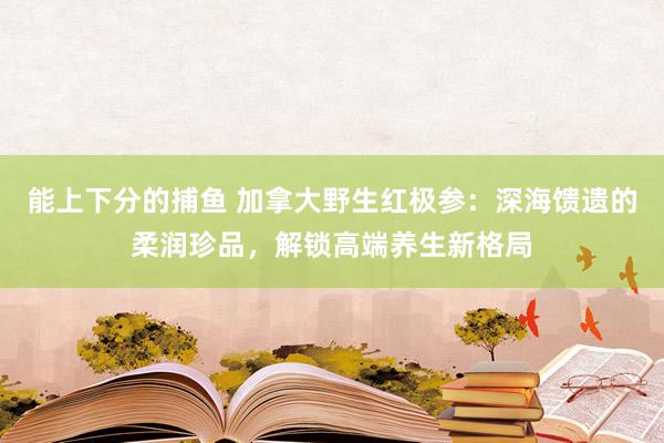 能上下分的捕鱼 加拿大野生红极参：深海馈遗的柔润珍品，解锁高端养生新格局