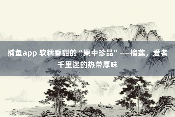 捕鱼app 软糯香甜的“果中珍品”——榴莲，爱者千里迷的热带厚味
