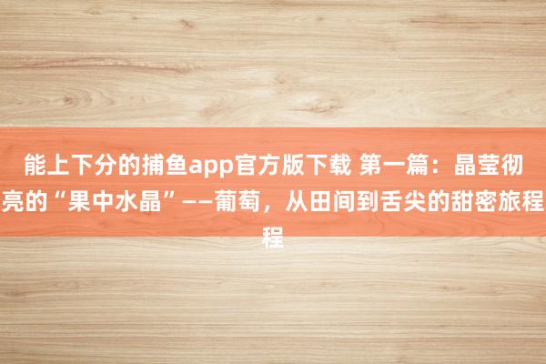 能上下分的捕鱼app官方版下载 第一篇：晶莹彻亮的“果中水晶”——葡萄，从田间到舌尖的甜密旅程