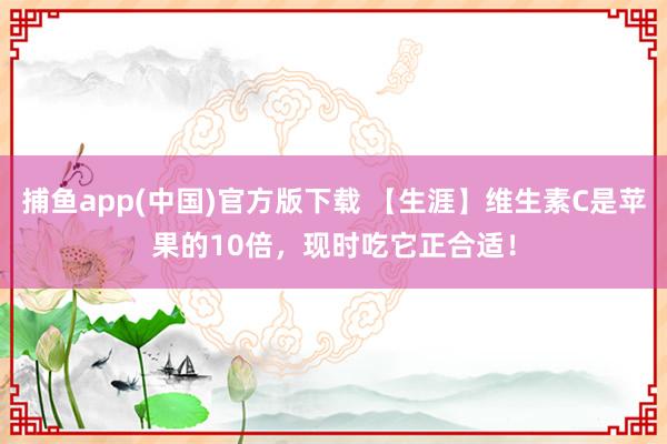 捕鱼app(中国)官方版下载 【生涯】维生素C是苹果的10倍，现时吃它正合适！