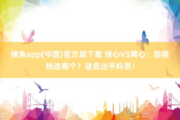 捕鱼app(中国)官方版下载 绿心VS黄心：猕猴桃选哪个？谜底出乎料思！