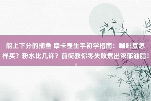 能上下分的捕鱼 摩卡壶生手初学指南：咖啡豆怎样买？粉水比几许？前街教你零失败煮出浓郁油脂！