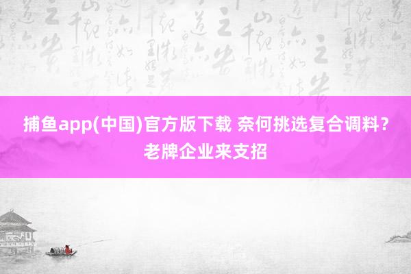 捕鱼app(中国)官方版下载 奈何挑选复合调料？老牌企业来支招