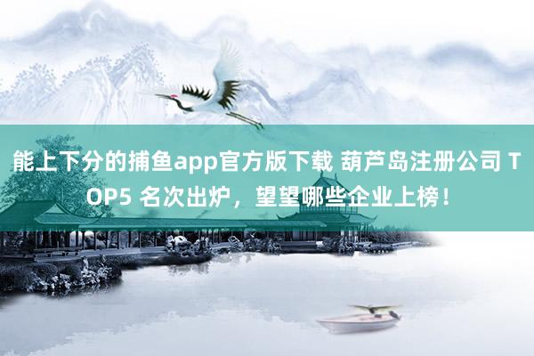 能上下分的捕鱼app官方版下载 葫芦岛注册公司 TOP5 名次出炉，望望哪些企业上榜！