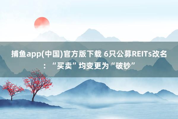 捕鱼app(中国)官方版下载 6只公募REITs改名：“买卖”均变更为“破钞”