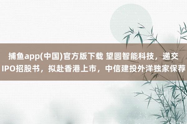 捕鱼app(中国)官方版下载 望圆智能科技，递交IPO招股书，拟赴香港上市，中信建投外洋独家保荐