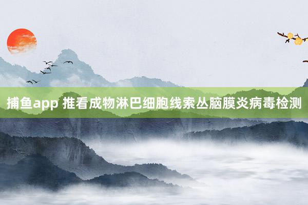 捕鱼app 推看成物淋巴细胞线索丛脑膜炎病毒检测