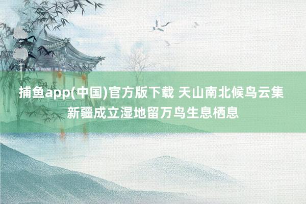 捕鱼app(中国)官方版下载 天山南北候鸟云集 新疆成立湿地留万鸟生息栖息