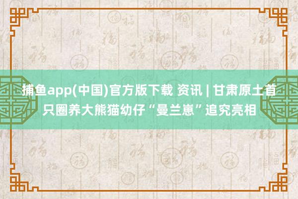 捕鱼app(中国)官方版下载 资讯 | 甘肃原土首只圈养大熊猫幼仔“曼兰崽”追究亮相