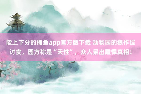 能上下分的捕鱼app官方版下载 动物园的狼作揖讨食，园方称是“天性”，众人景出雕悍真相！