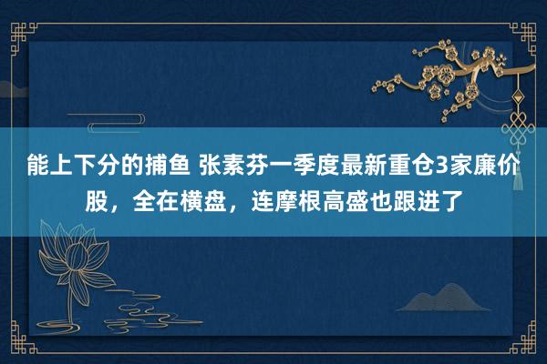 能上下分的捕鱼 张素芬一季度最新重仓3家廉价股，全在横盘，连摩根高盛也跟进了