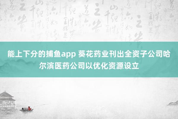 能上下分的捕鱼app 葵花药业刊出全资子公司哈尔滨医药公司以优化资源设立