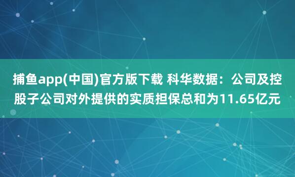 捕鱼app(中国)官方版下载 科华数据：公司及控股子公司对外提供的实质担保总和为11.65亿元
