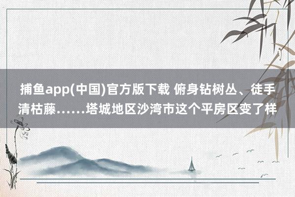 捕鱼app(中国)官方版下载 俯身钻树丛、徒手清枯藤……塔城地区沙湾市这个平房区变了样