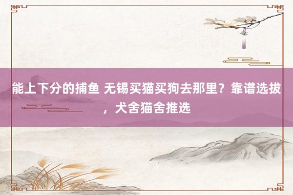 能上下分的捕鱼 无锡买猫买狗去那里？靠谱选拔，犬舍猫舍推选