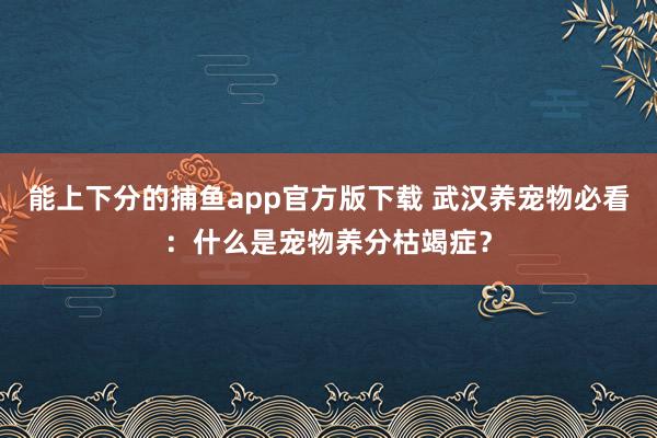 能上下分的捕鱼app官方版下载 武汉养宠物必看：什么是宠物养分枯竭症？