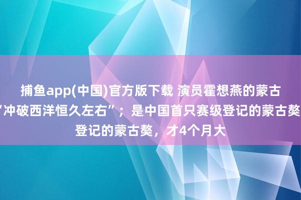 捕鱼app(中国)官方版下载 演员霍想燕的蒙古獒夺冠了，“冲破西洋恒久左右”；是中国首只赛级登记的蒙古獒，才4个月大