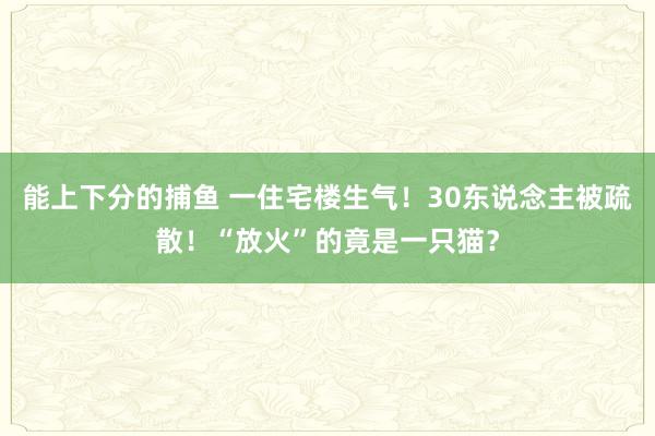 能上下分的捕鱼 一住宅楼生气！30东说念主被疏散！“放火”的竟是一只猫？