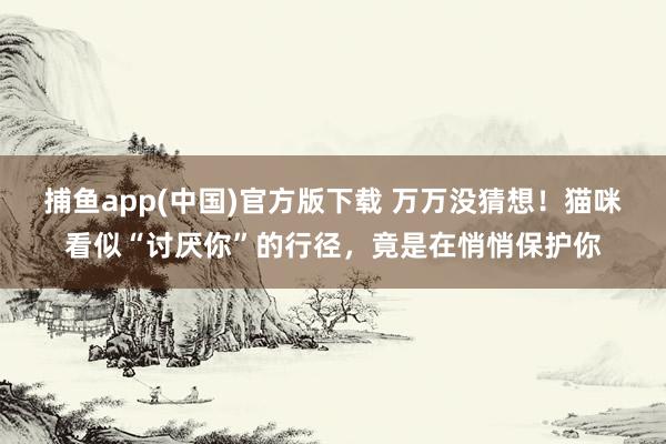 捕鱼app(中国)官方版下载 万万没猜想！猫咪看似“讨厌你”的行径，竟是在悄悄保护你