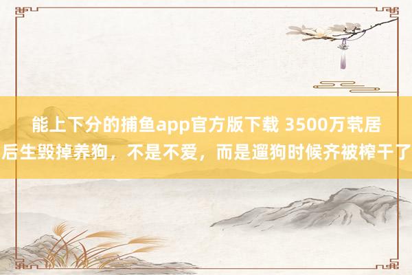 能上下分的捕鱼app官方版下载 3500万茕居后生毁掉养狗，不是不爱，而是遛狗时候齐被榨干了