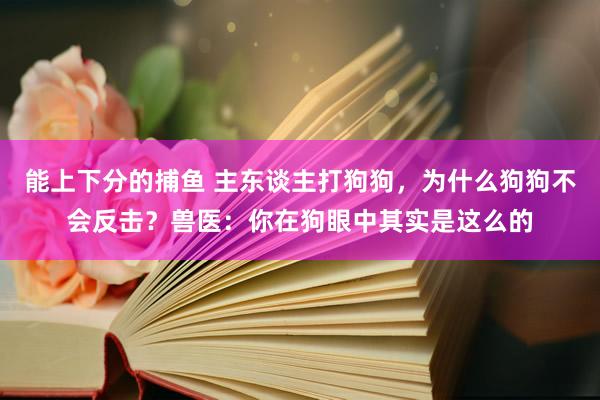 能上下分的捕鱼 主东谈主打狗狗，为什么狗狗不会反击？兽医：你在狗眼中其实是这么的