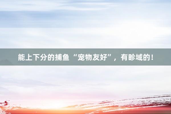 能上下分的捕鱼 “宠物友好”，有畛域的！