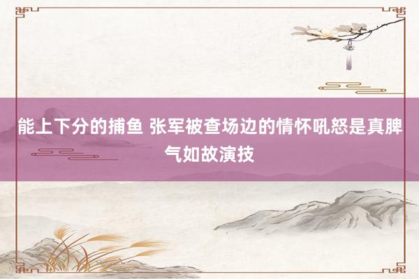 能上下分的捕鱼 张军被查场边的情怀吼怒是真脾气如故演技