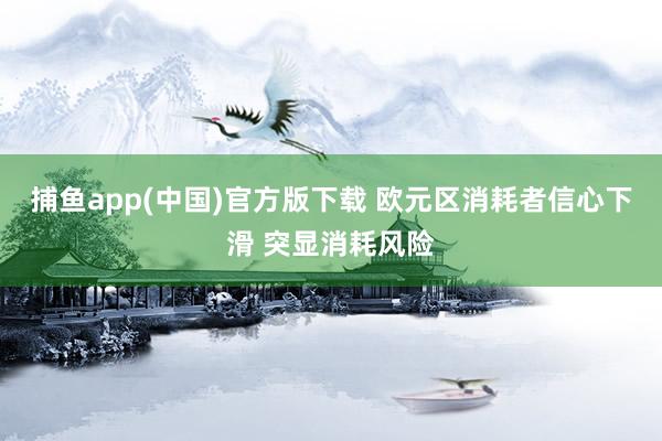 捕鱼app(中国)官方版下载 欧元区消耗者信心下滑 突显消耗风险