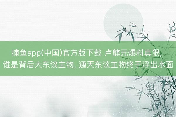 捕鱼app(中国)官方版下载 卢麒元爆料真狠， 谁是背后大东谈主物， 通天东谈主物终于浮出水面