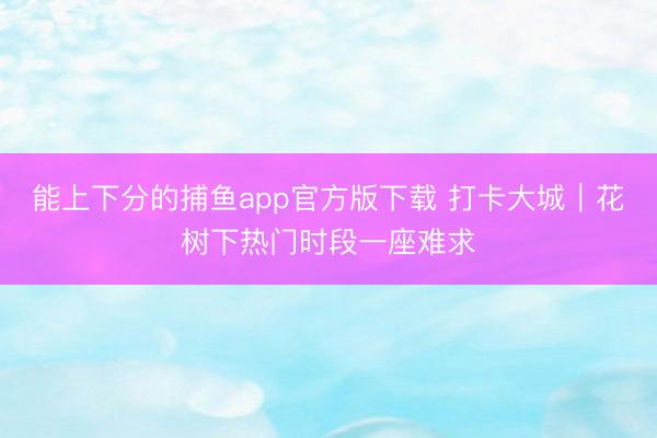 能上下分的捕鱼app官方版下载 打卡大城｜花树下热门时段一座难求